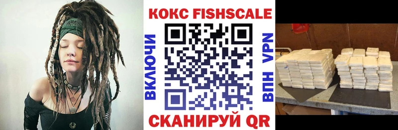 где можно купить наркотик  Сурск  КОКАИН FishScale 