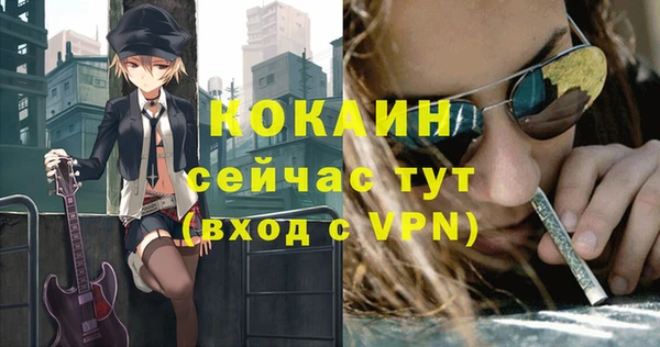 МДПВ Абаза