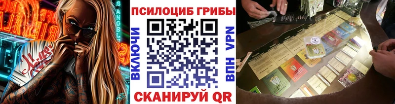 Галлюциногенные грибы Magic Shrooms  купить  цена  Сурск 